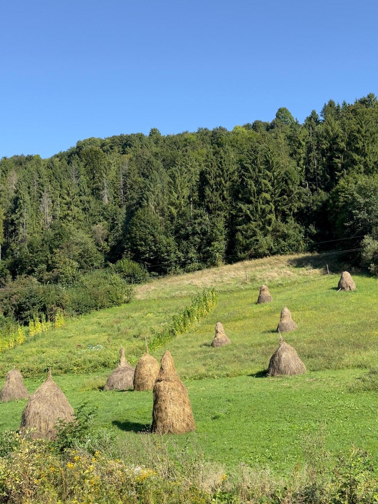 Під Боржавою Wołowiec Zewnętrze zdjęcie