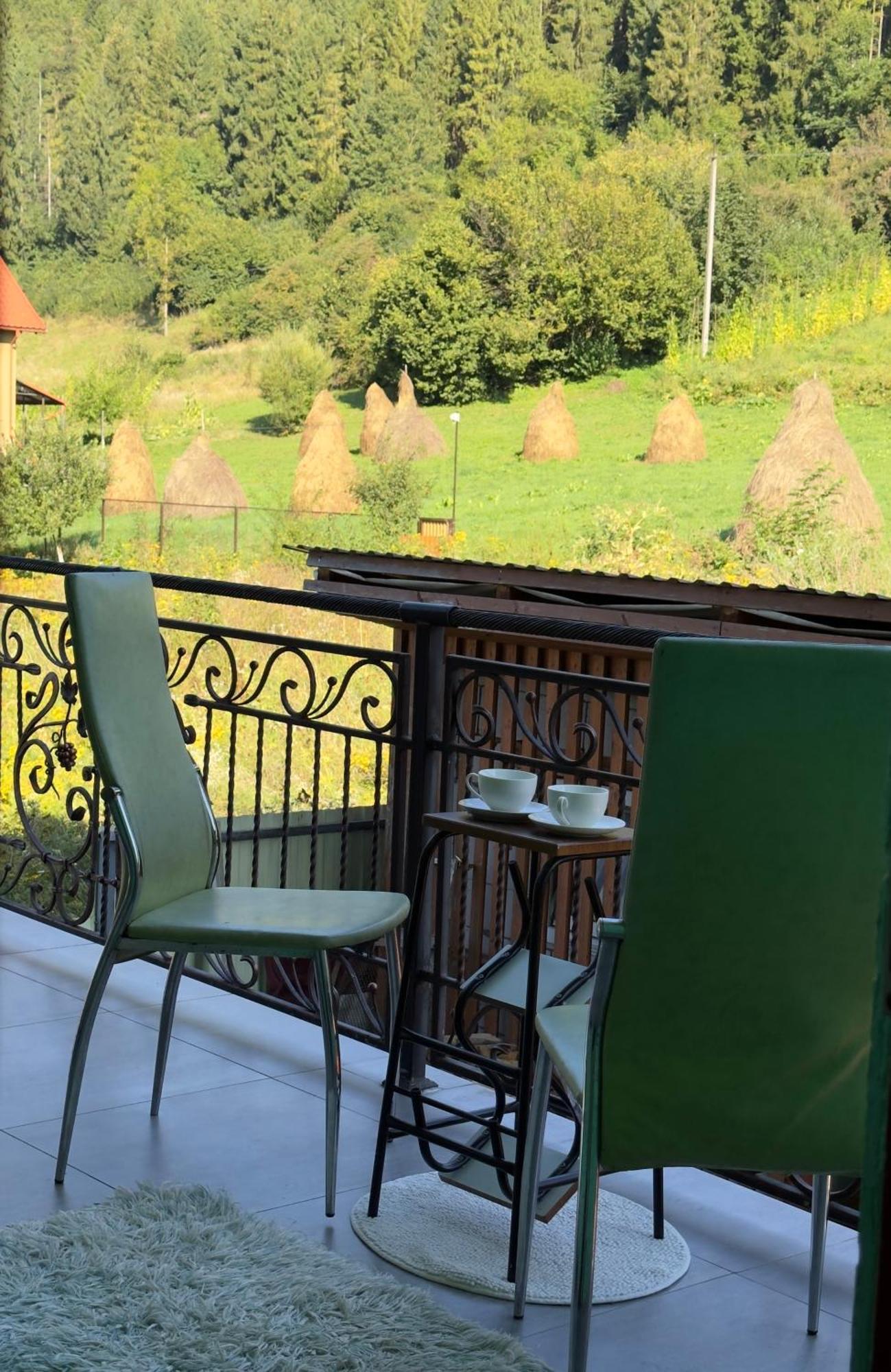 Під Боржавою Wołowiec Zewnętrze zdjęcie